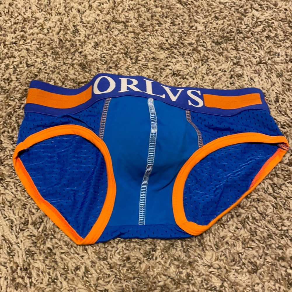 ORLVS Briefs